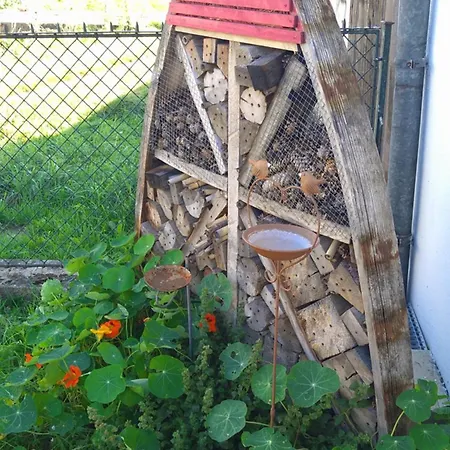 Nocleg ze śniadaniem Weingut Thomas Brandl Strass (Waldviertel)