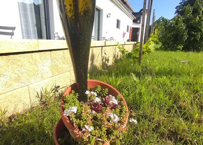 Weingut Thomas Brandl