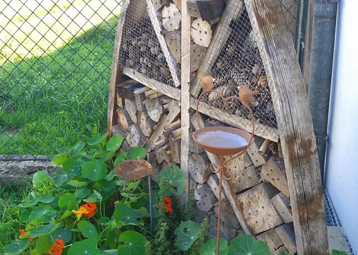 Alojamento de Acomodação e Pequeno-almoço Weingut Thomas Brandl Strass (Waldviertel)